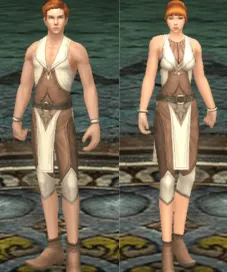 《神泣纷争》：新手入门职业攻略